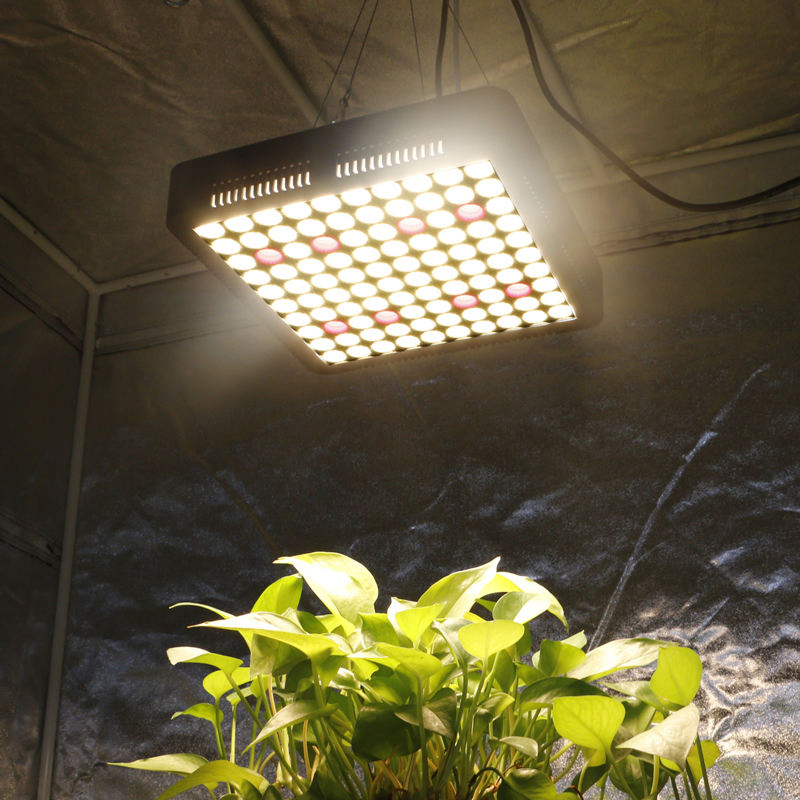 Tiras de Luz para Plantas em Estufa, Hidropônica, Luz de Crescimento LED de Espectro Completo para Interior