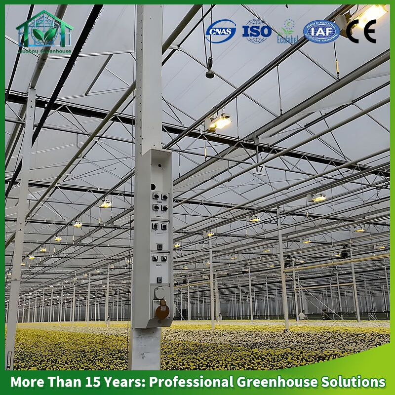 Luz de Cultivo LED à Prova d'Água para Estufas Comerciais com Cobertura Uniforme