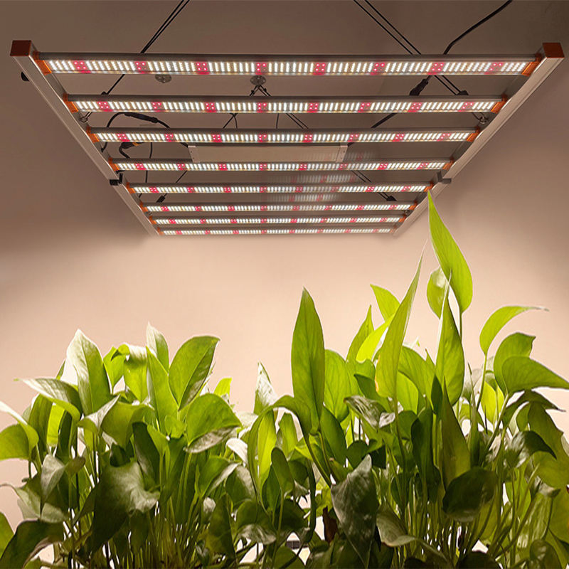 Luz de Cultivo LED de Espectro Completo por Atacado 240W 320W 480W 650W 800W 1000W Luzes LED Comerciais para Crescimento Interno