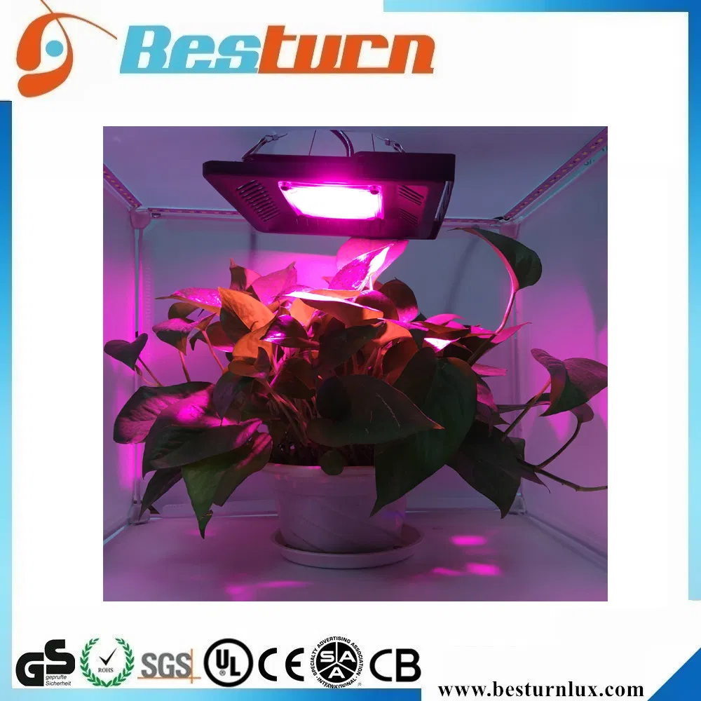 50-150W Série Lp 10 Sistema de Cultivo Vertical Hidropônico de Espectro Completo Barras de Luz LED para Crescimento de Plantas Medicinais em Ambiente Interno