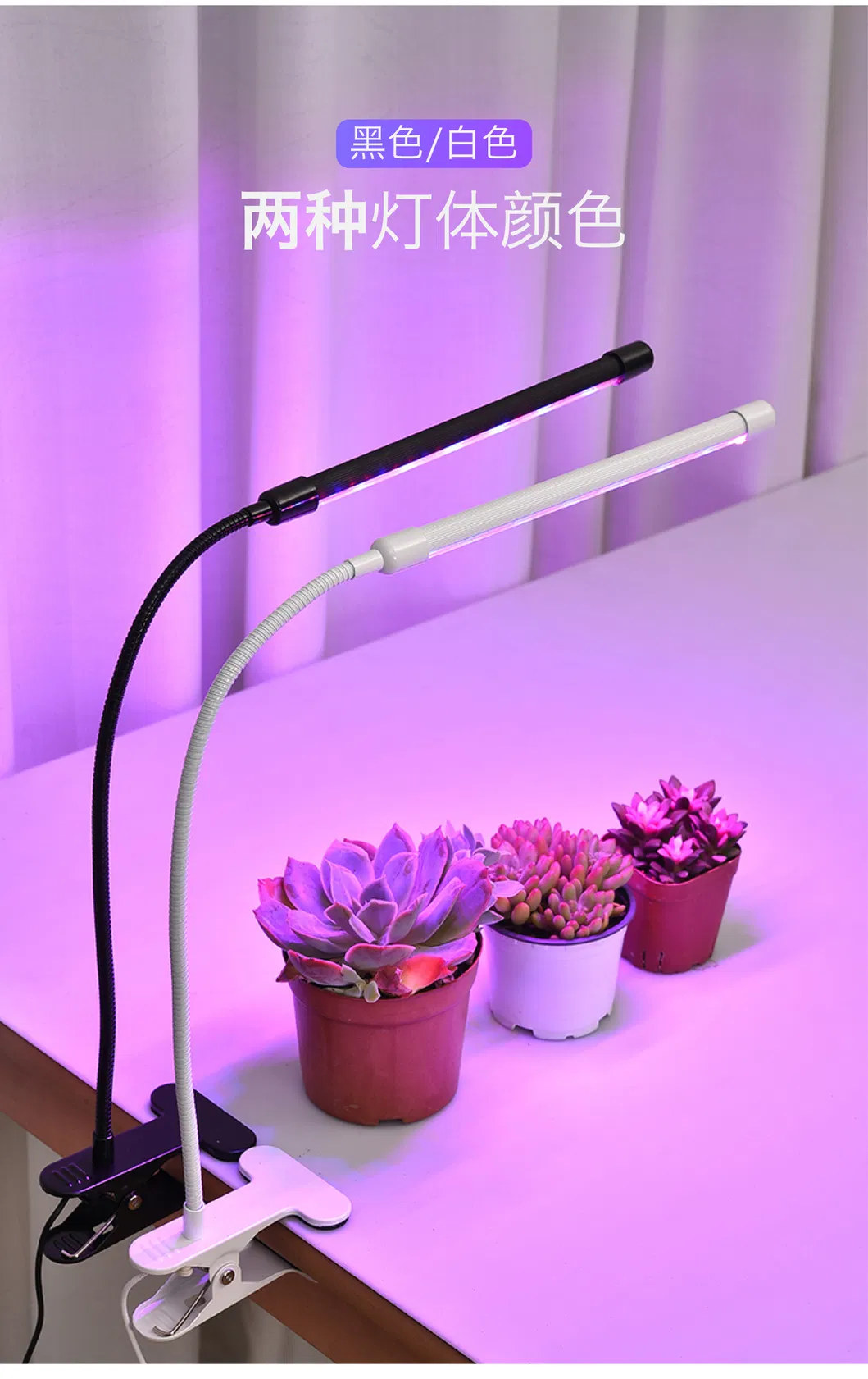Luz de Plantas 5