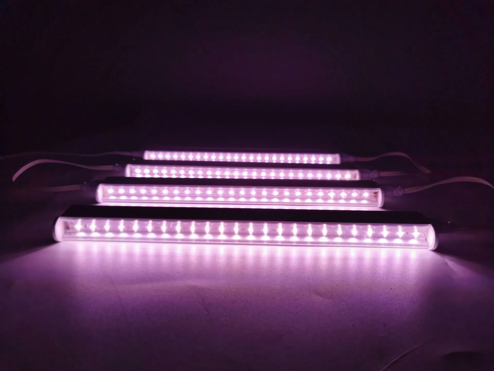 T5 T8 Lâmpada de Cultivo de Plantas Suculentas e Vegetais com LED Integrado