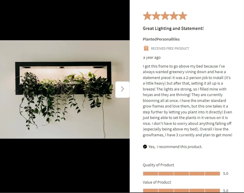 Review 2
