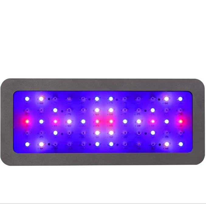 Espectro LED 3
