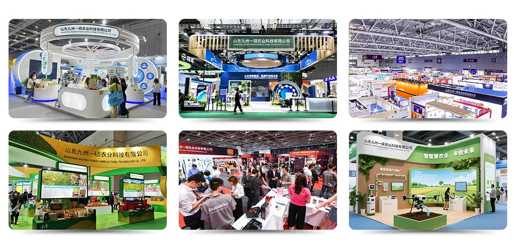 Exposição