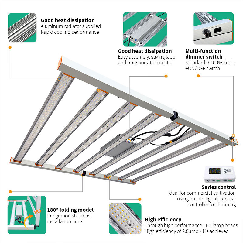 Luz de Cultivo LED de Espectro Completo por Atacado 240W 320W 480W 650W 800W 1000W Luzes LED Comerciais para Crescimento Interno
