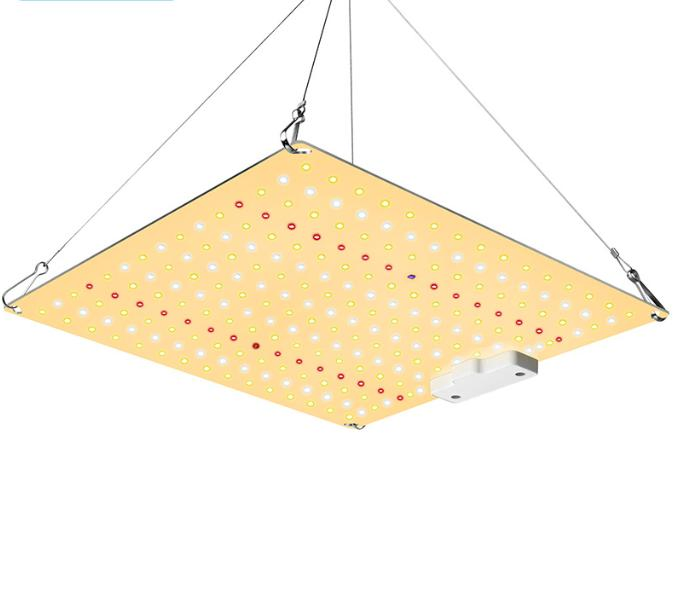2022 Nova Luz de Cultivo LED 1000W Lâmpada LED para Plantas Luz de Espectro Completo para Plantas