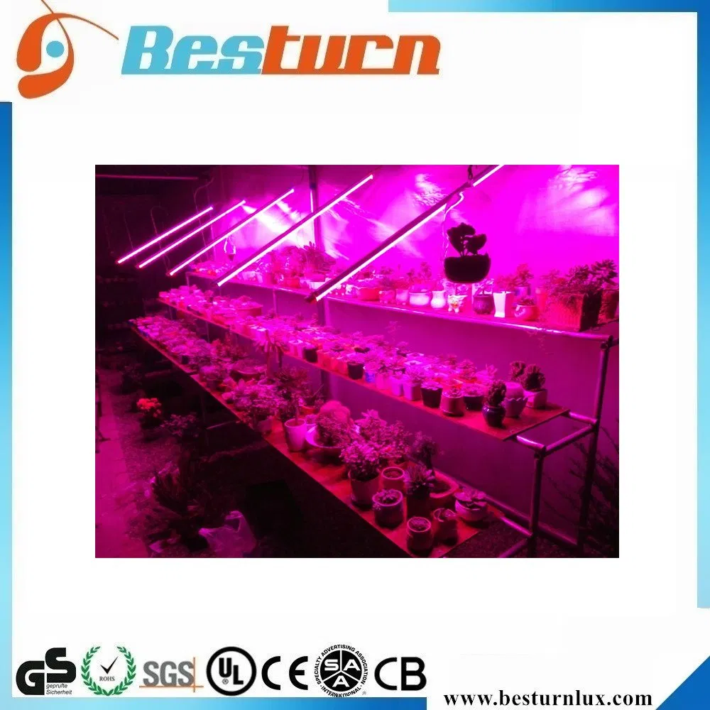 T8 20W Tubo de Luz de Crescimento LED de Espectro Completo