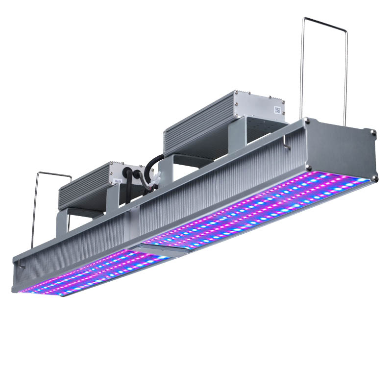 600 Luzes de Cultivo LED de Espectro Completo Watt para Plantas de Estufa