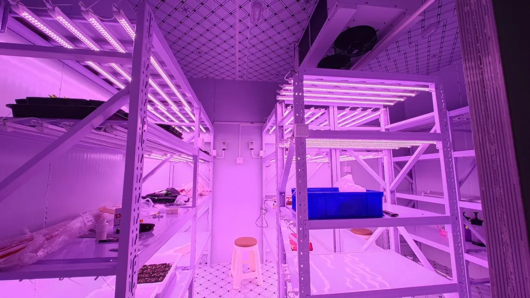 Crescimento LED