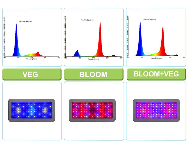 Lâmpada de Cultivo LED Dragão Brilhante, Vendedor Top da Amazon, Luz de Crescimento em Espectro Completo, Lâmpada de Cultivo LED com Duplo Interruptor