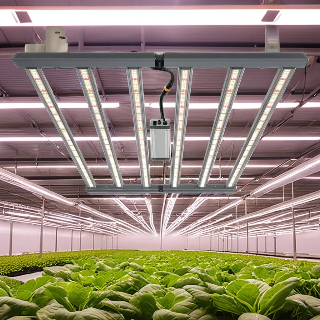 para Samsung 650W 800W Barra de Luz de Crescimento LED de Espectro Completo 2.8umol/J para Agricultura Vertical Comercial de Plantas Médicas em Ambientes Internos Alumínio