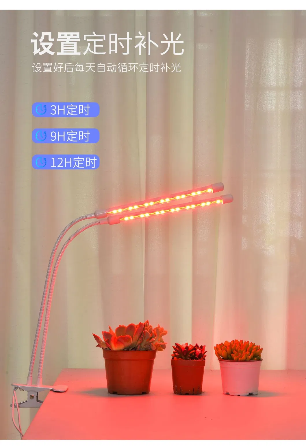 Luz de Plantas 4