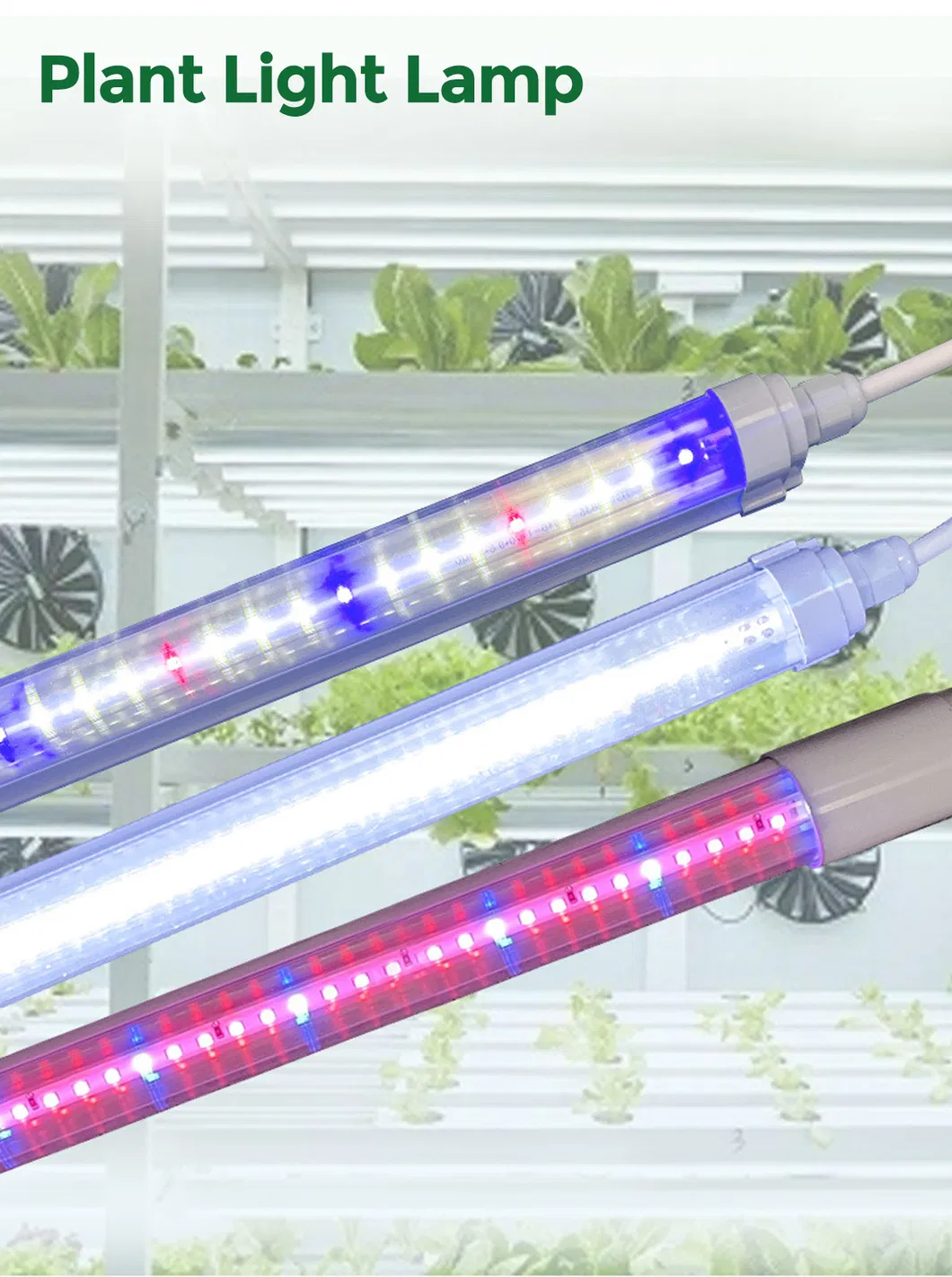 T8 LED Grow Light 1