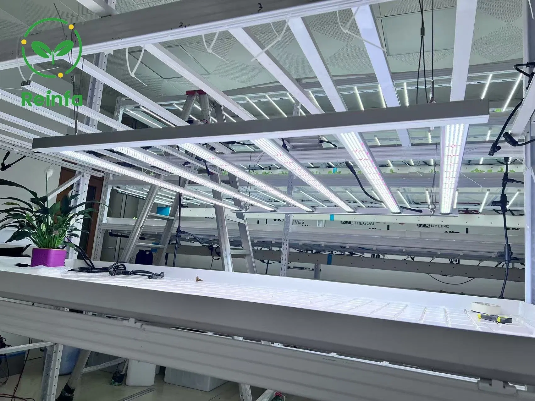 Iluminação LED de Cultivo de Grau Comercial 650W para Maiores Fazendas Internas