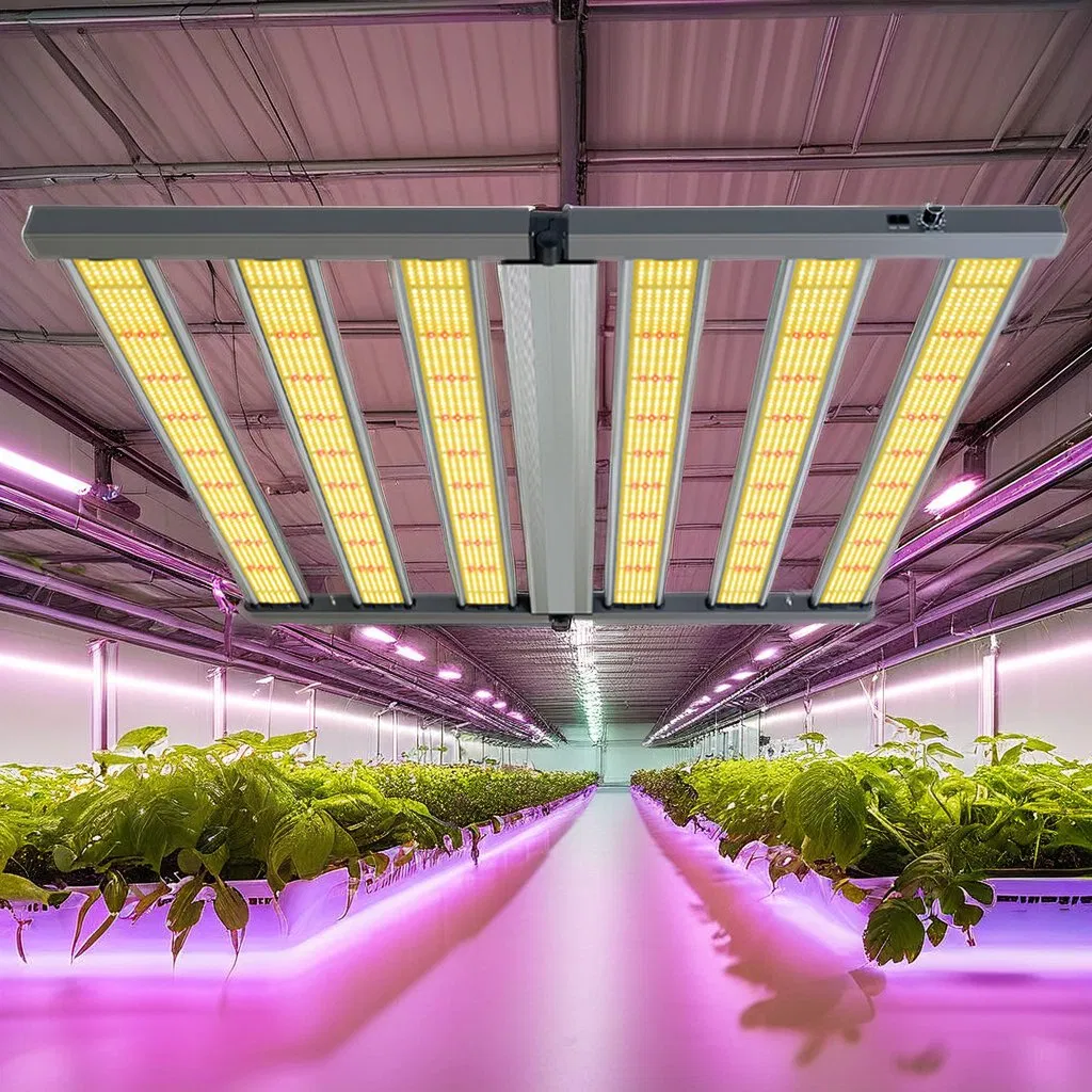 para Samsung 650W 800W Barra de Luz de Crescimento LED de Espectro Completo 2.8umol/J para Agricultura Vertical Comercial de Plantas Médicas em Ambientes Internos Alumínio