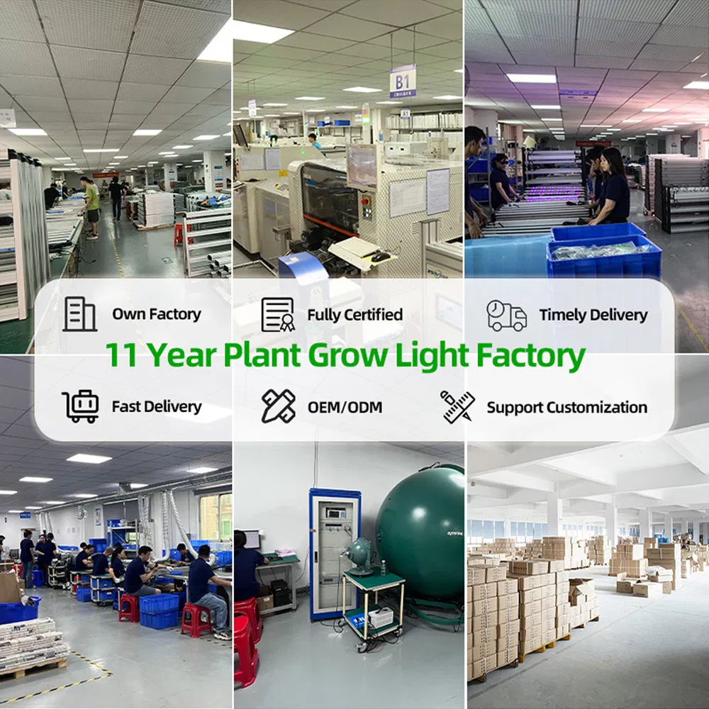 500W Luz de Cultivo LED Dimmable, 180° Estrutura de Alumínio Dobrável para Agricultura Vertical Interna, Certificado ETL/CE
