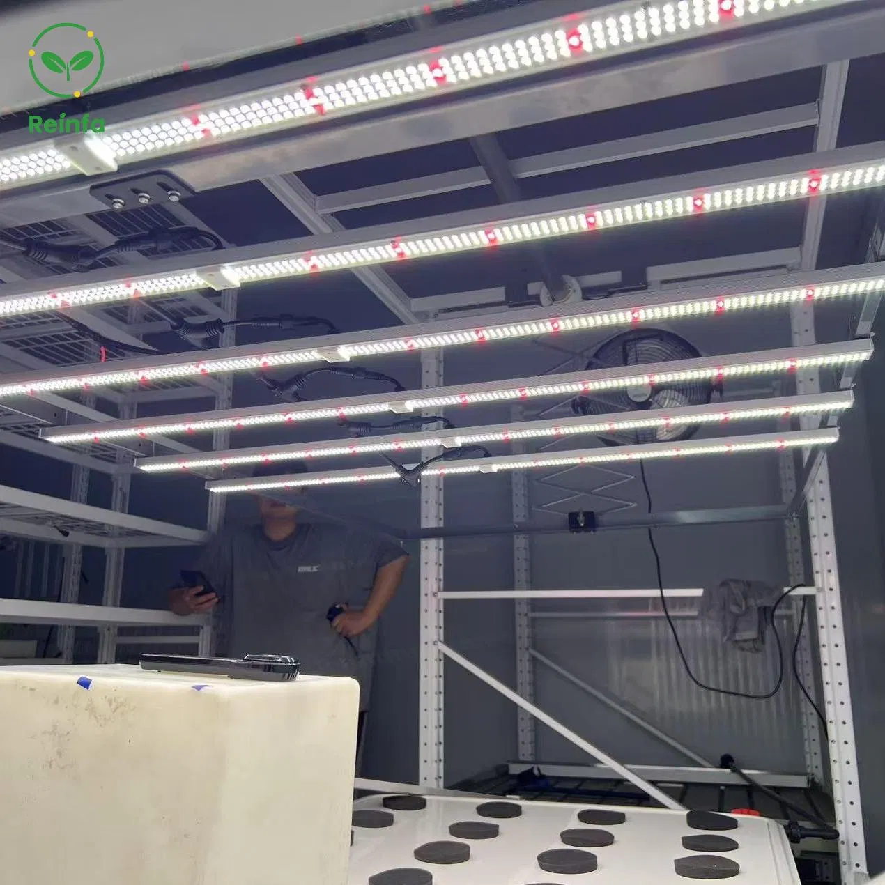 Luz de Cultivo LED de Espectro Completo Dimerizável 650W para Jardim Interno e Fazenda Comercial