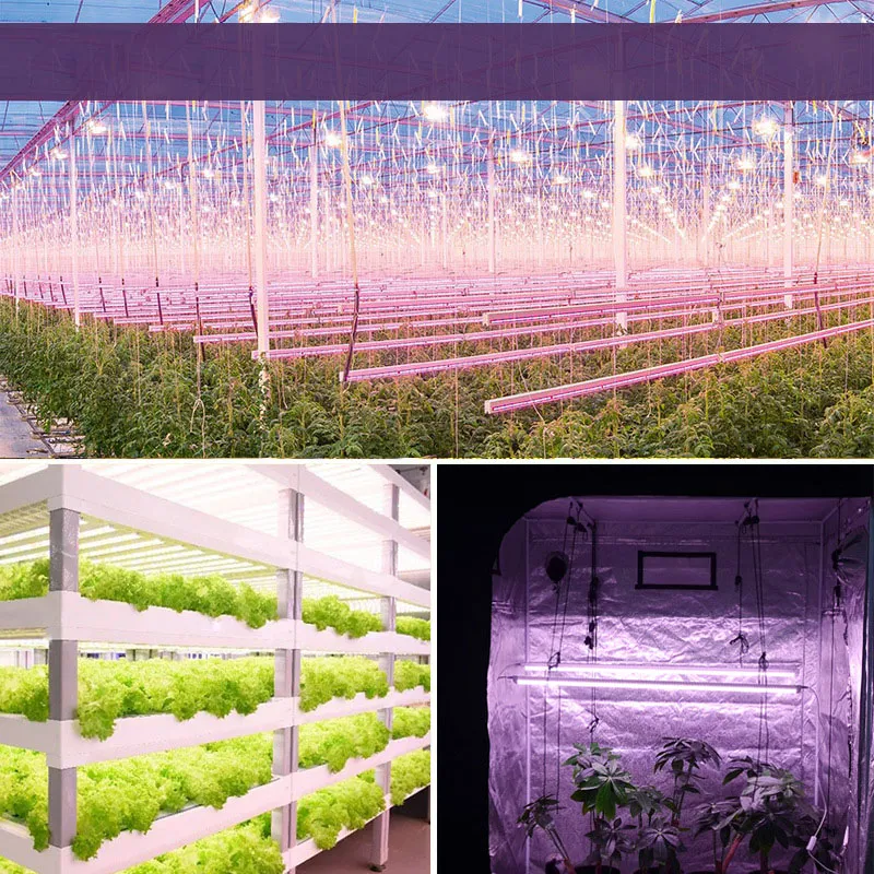 Luz LED Grow Detalhe 3