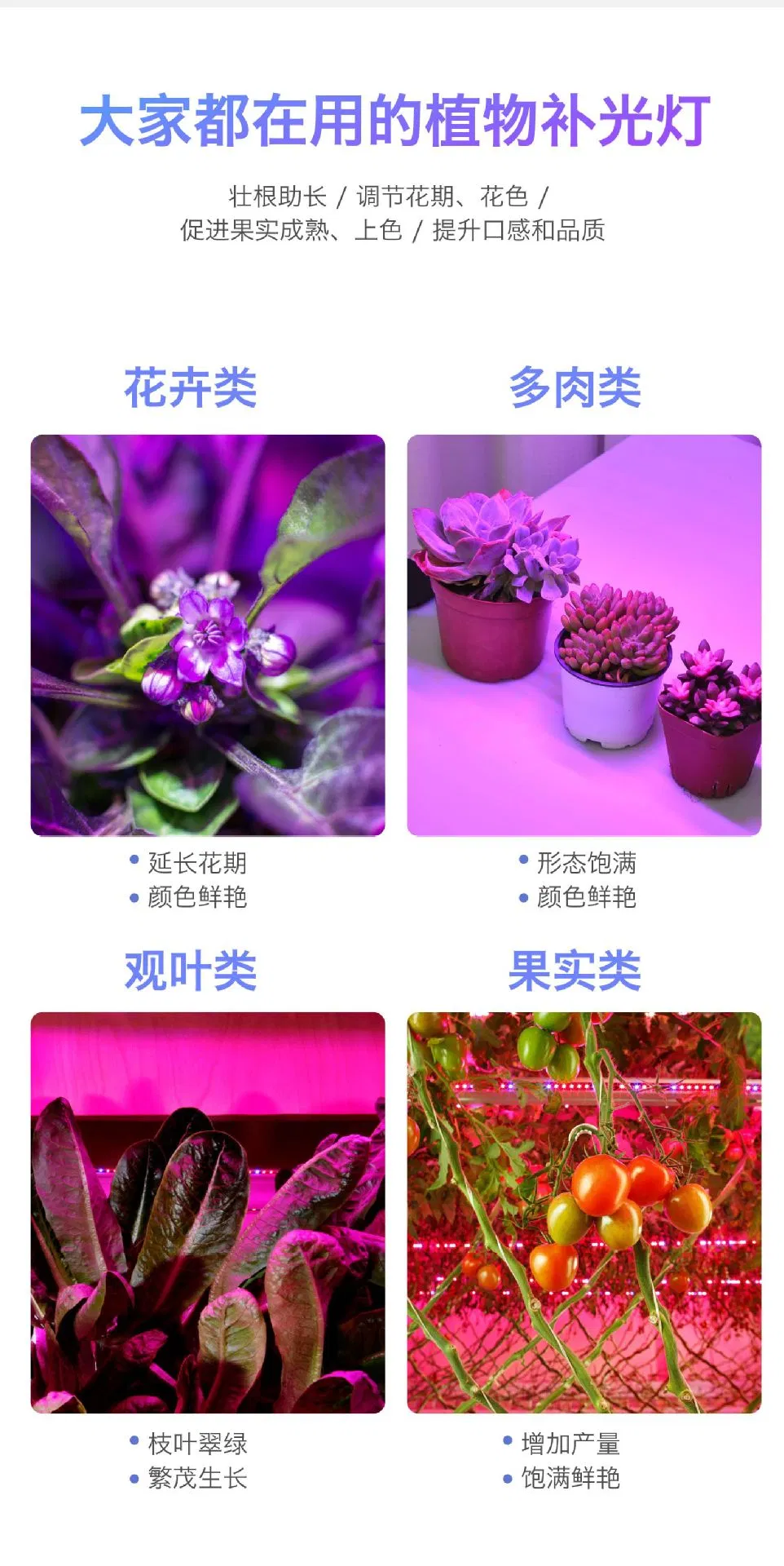 Luz de Plantas 7