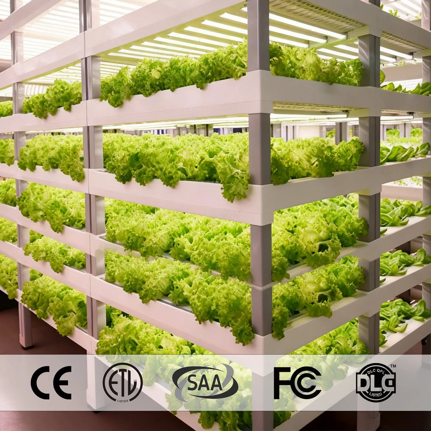 Iluminação de Cultivo LED 2.5μMol/J de Alta Eficiência IP65 à Prova d'Água de Espectro Completo T8 Barra para Horticultura Comercial e Viveiro de Mudas