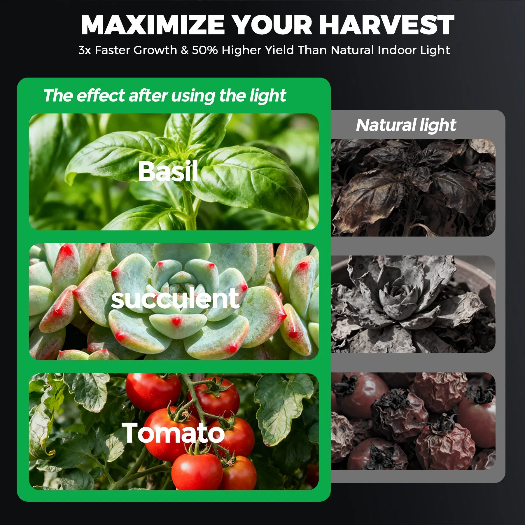 Iluminação de Cultivo LED 2.5μMol/J de Alta Eficiência IP65 à Prova d'Água de Espectro Completo T8 Barra para Horticultura Comercial e Viveiro de Mudas