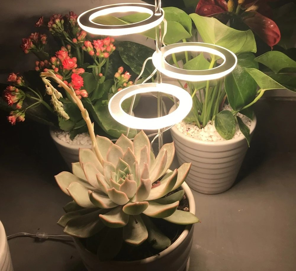 Lâmpada de Crescimento de Plantas LED Espectro Completo Anel de Ângulo Interno Potes Domésticos Temporizador de Dimerização Luz de Preenchimento para Suculentas