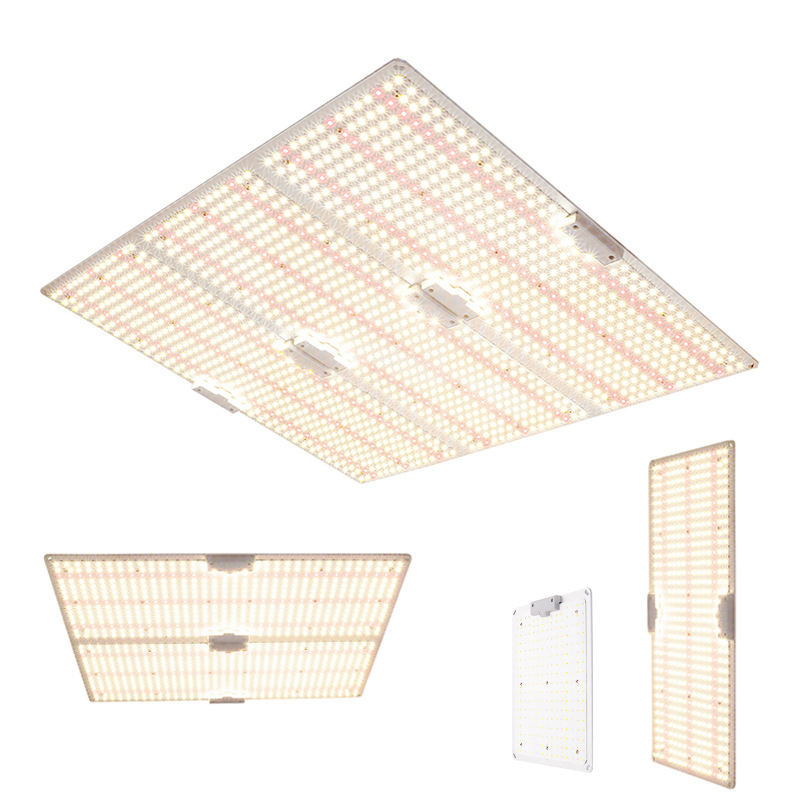 Luz de Crescimento de Plantas para Fabricante Uso em Estufa Jardinagem Lâmpada de Crescimento de Plantas LED de Espectro Completo 600W Luz de Crescimento de Plantas LED para Interior