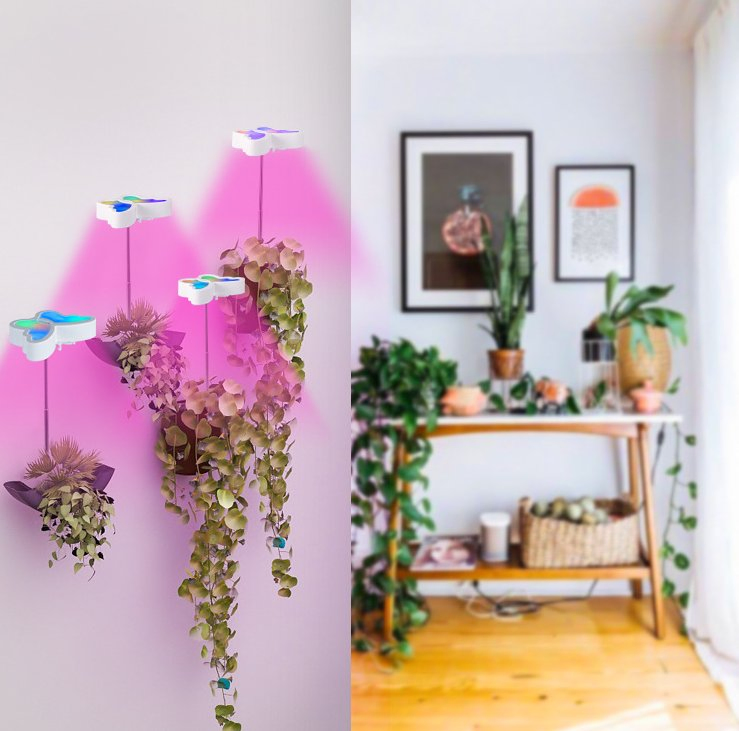 Luz de Cultivo LED de Espectro Completo Brailliant Dragon para Plantas em Vaso Luz de Cultivo LED para Plantas Internas