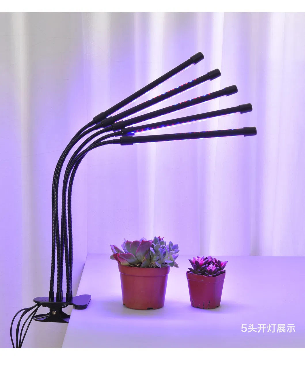 Luz de Plantas 11