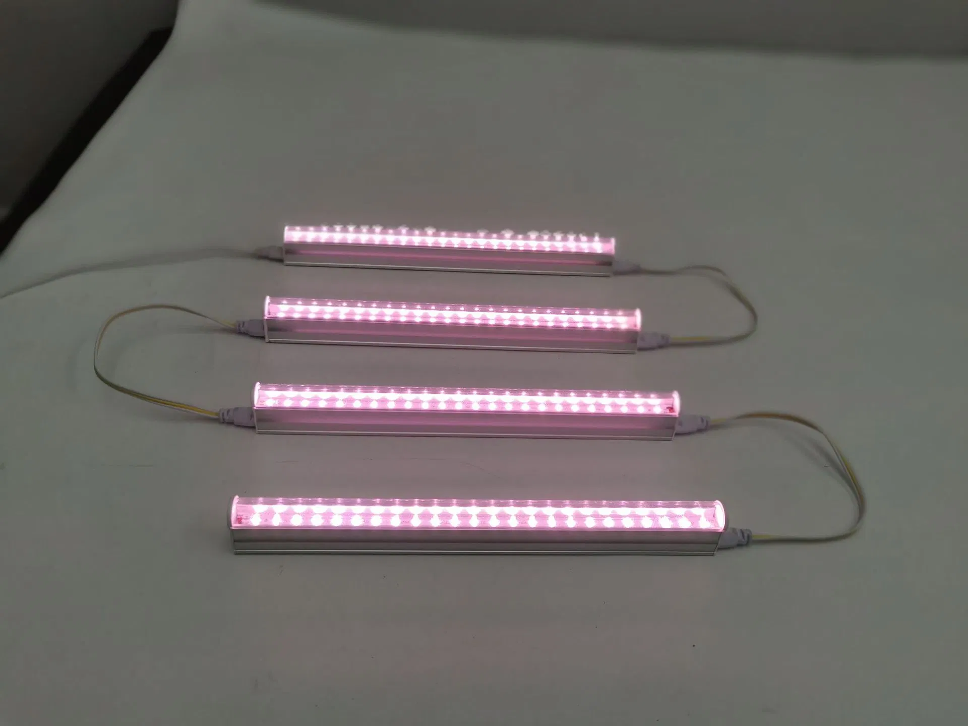 T5 T8 Lâmpada de Cultivo de Plantas Suculentas e Vegetais com LED Integrado