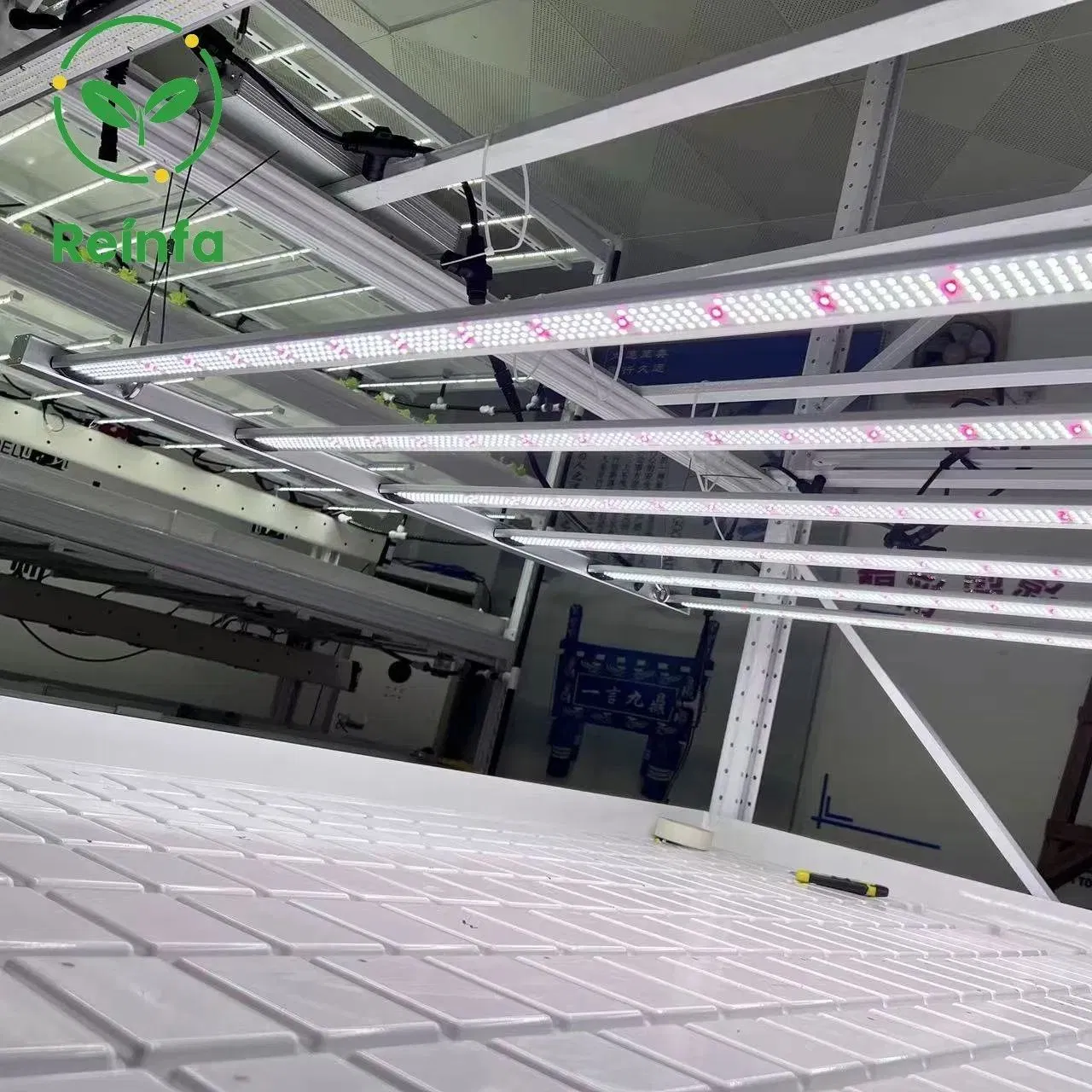 Iluminação LED de Cultivo de Grau Comercial 650W para Maiores Fazendas Internas