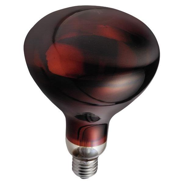 Lâmpada Infravermelha 100W/175W/250W/375W Lâmpada de Aquecimento Infravermelho R40 R125