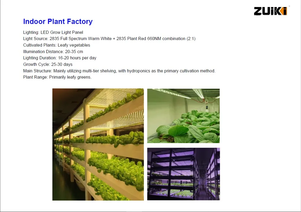 Aplicação 5