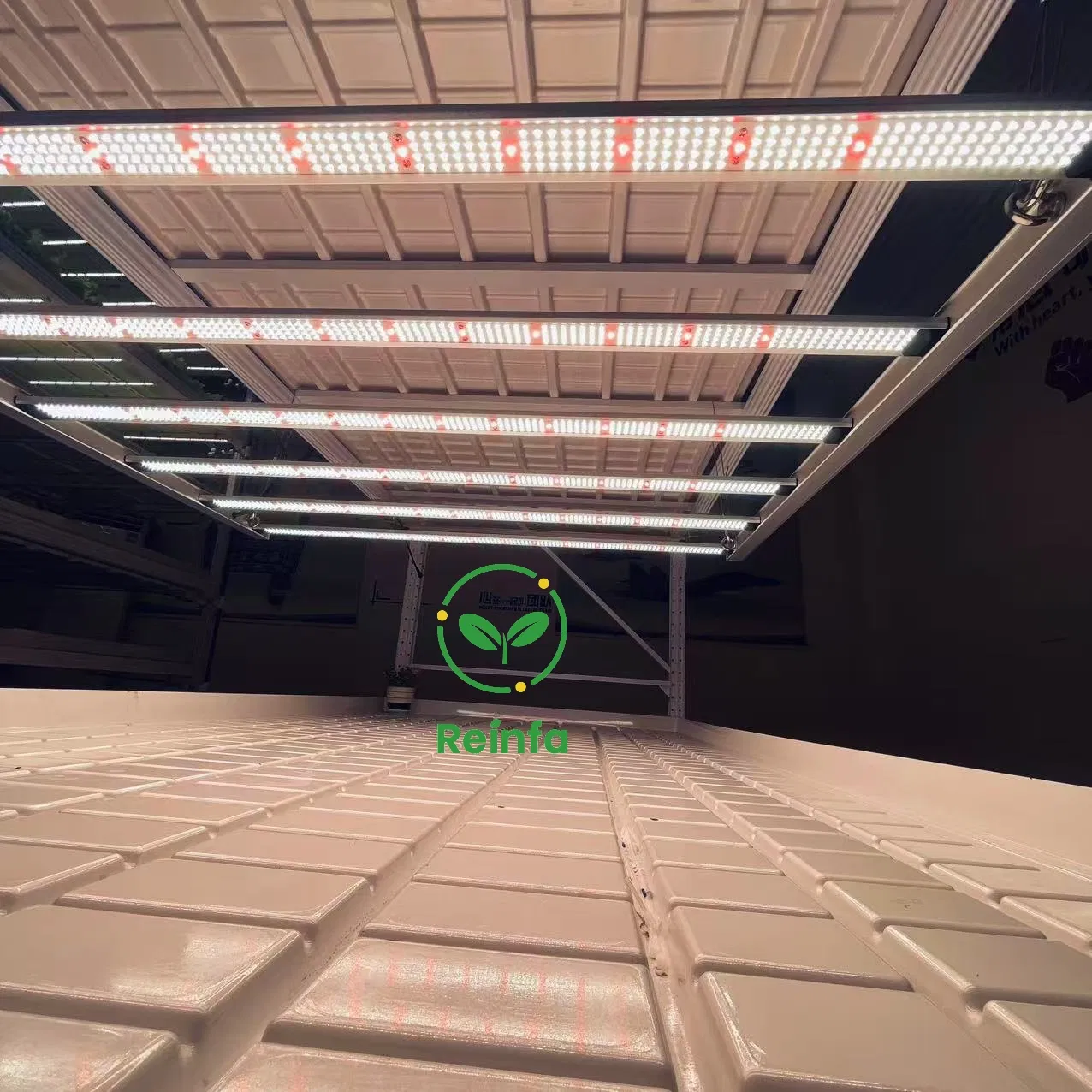 Luz de Cultivo LED de Espectro Completo Dimerizável 650W para Jardim Interno e Fazenda Comercial