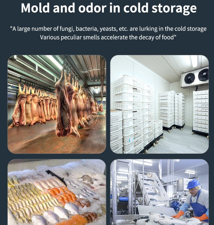 Lâmpada Germicida UVC Sailon 80W com Controle Remoto para Esterilização de Armazenamento Frio