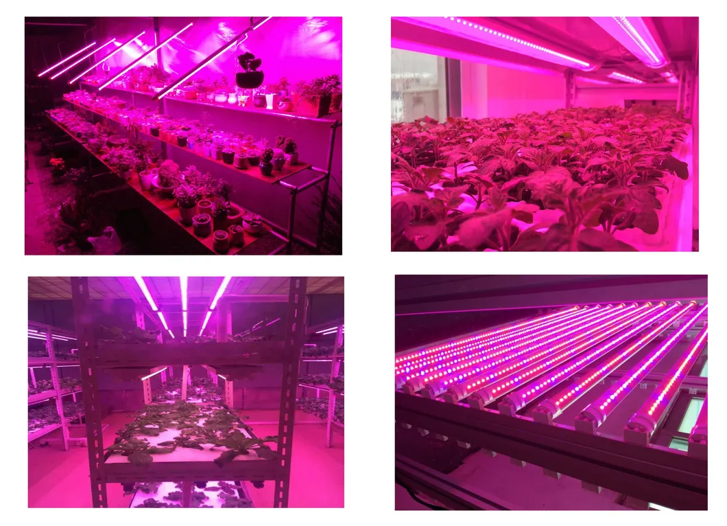 Detalhes do Espectro LED