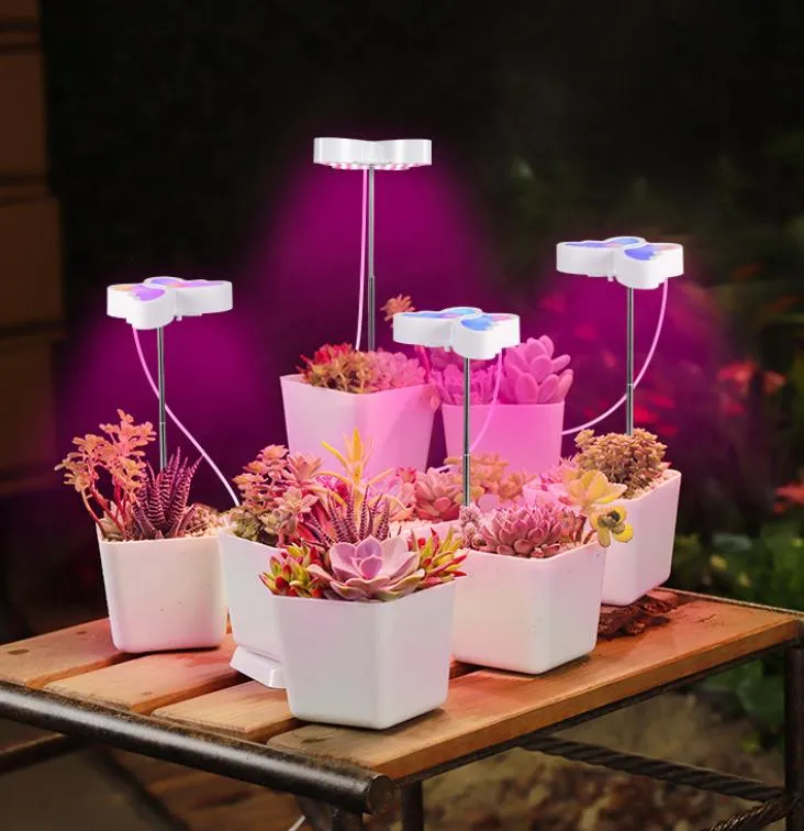 Luz de Cultivo 6