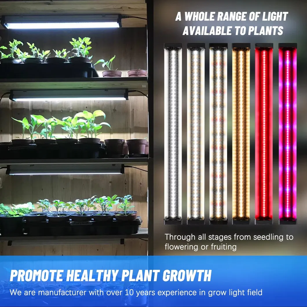 Lâmpada de Cultivo LED Personalizada