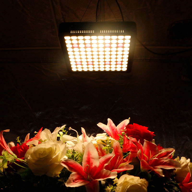Tiras de Luz para Plantas em Estufa, Hidropônica, Luz de Crescimento LED de Espectro Completo para Interior