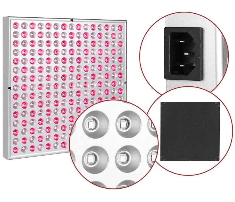 Luz LED Vermelha Terapia