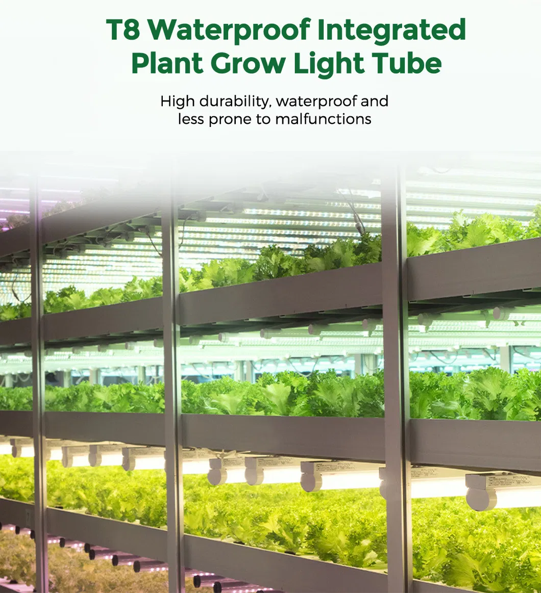 T8 LED Grow Light 5