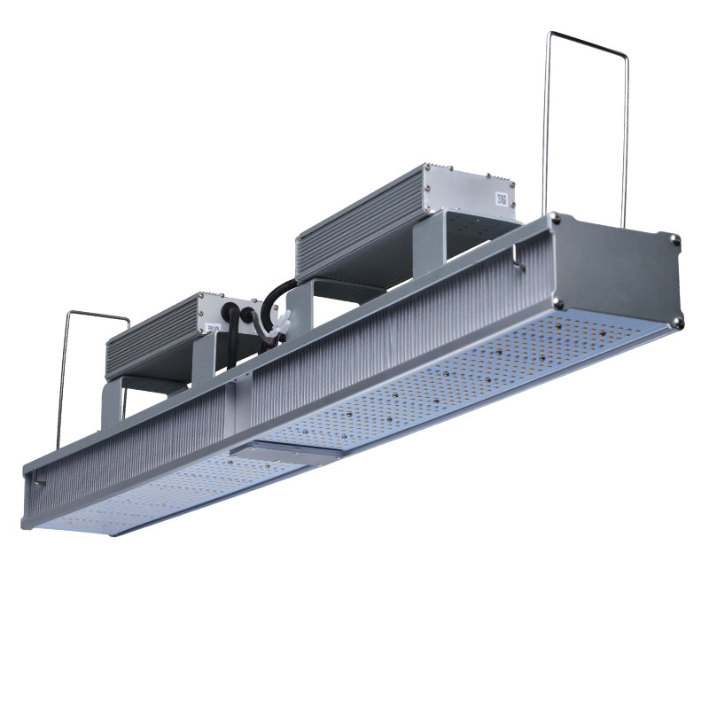 600 Luzes de Cultivo LED de Espectro Completo Watt para Plantas de Estufa