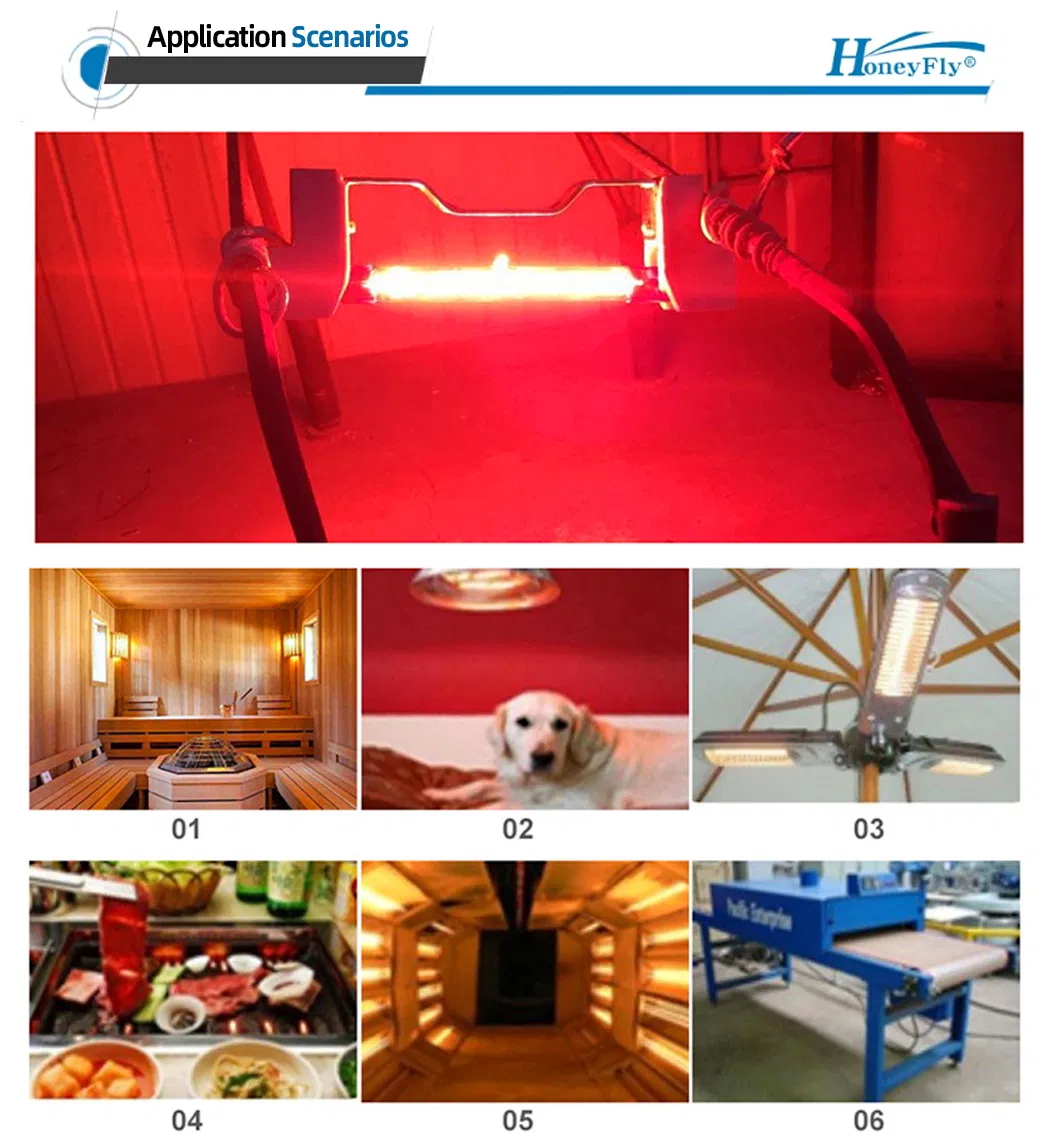 Anel de Aquecimento Halógeno 220V 250W Dispositivo de Terapia Infravermelha Claro