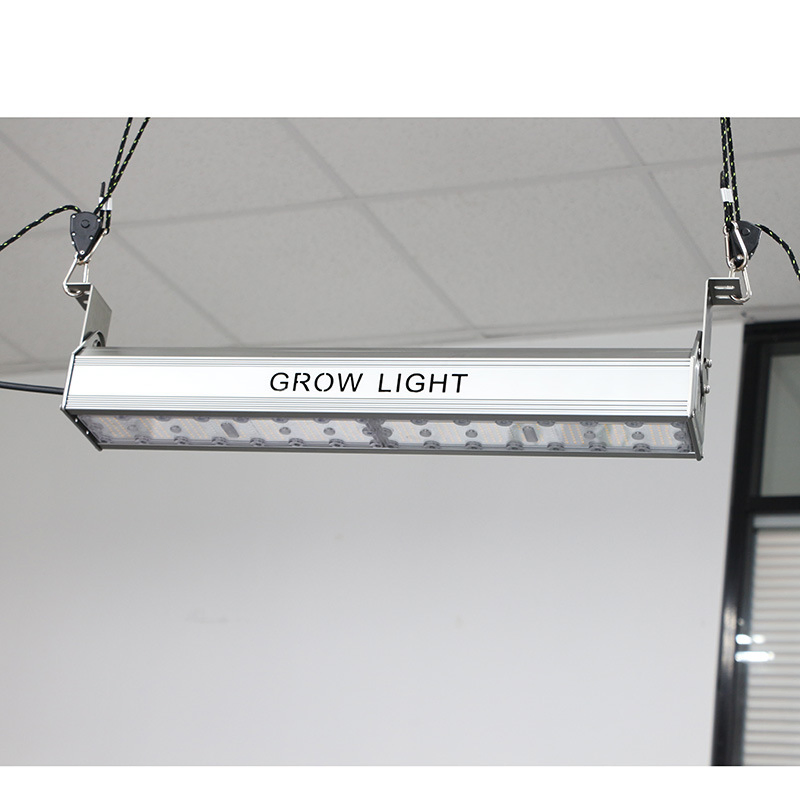 Luz de Crescimento de Plantas para Fabricante Uso em Estufa Jardinagem Lâmpada de Crescimento de Plantas LED de Espectro Completo 600W Luz de Crescimento de Plantas LED para Interior