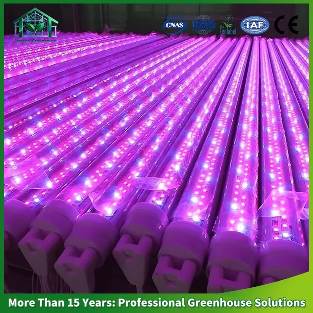 Sistema LED 1
