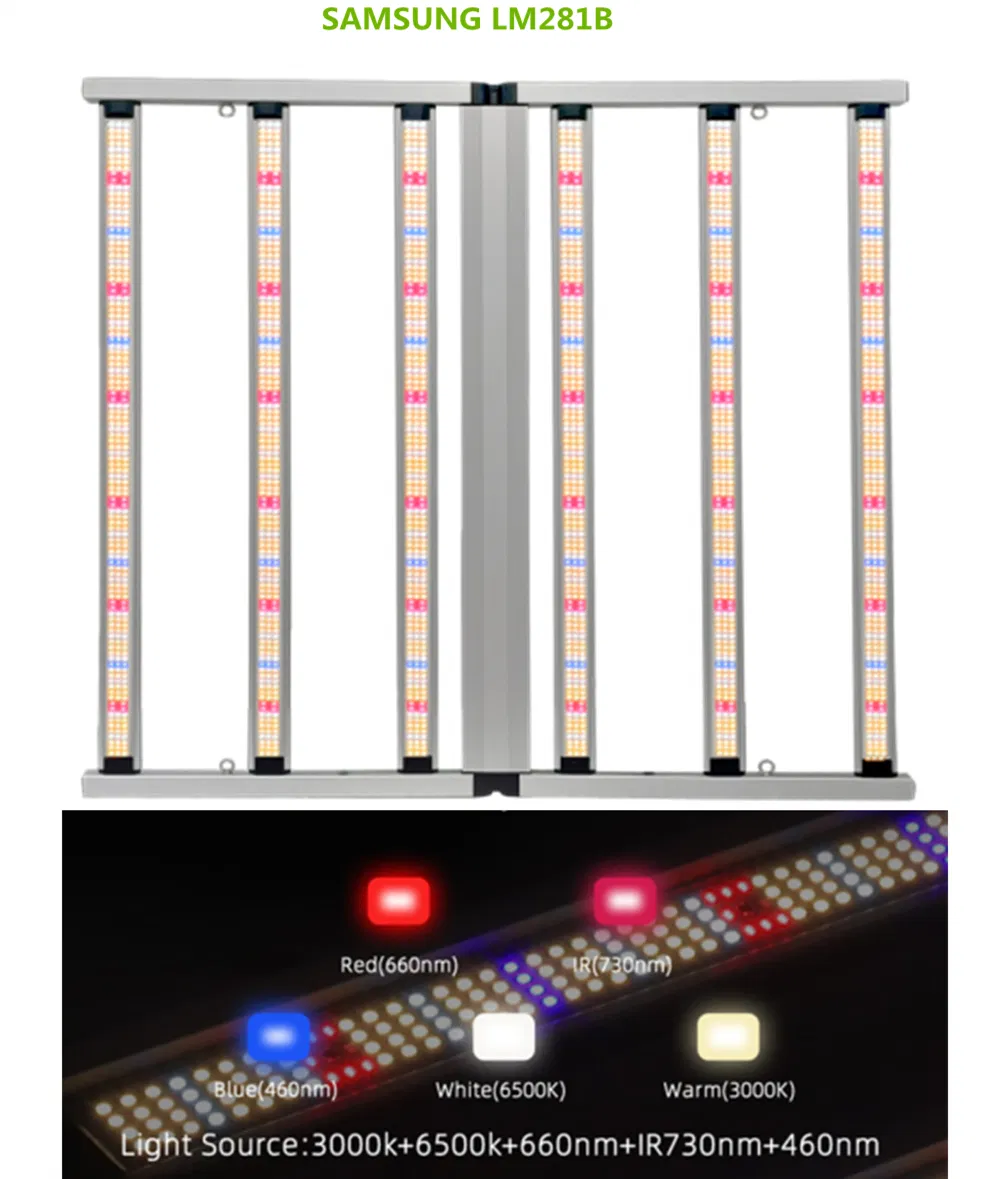 Detalhe LED 2