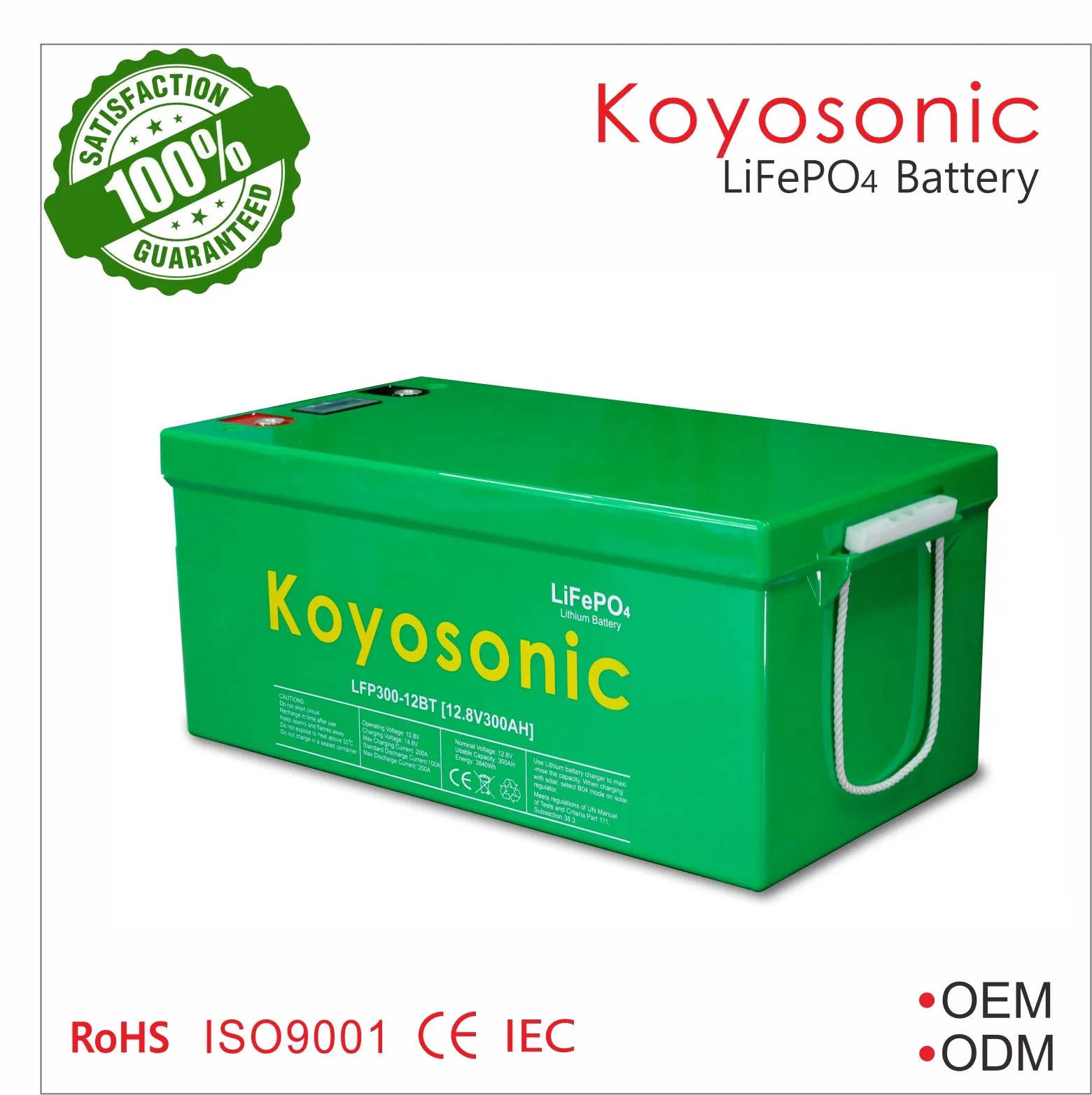 LiFePO4 بطارية 12V 50ah 100ah 200ah 300ah بطارية دورة عميقة 12.8V شمسية 24V 48V بطارية ليثيوم أيون مع نظام إدارة البطارية لسيارة كامبر شمسية / بطارية RV