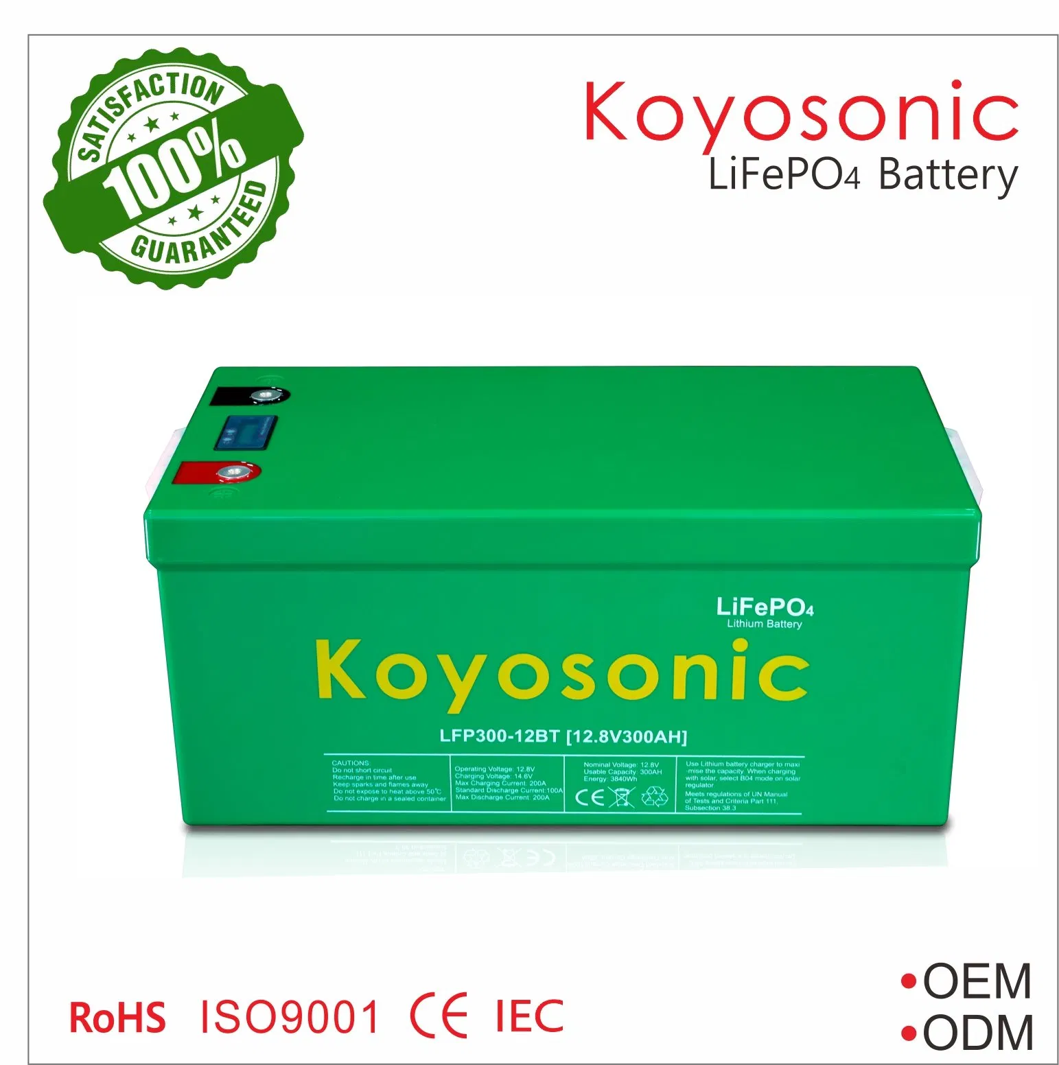 LiFePO4 بطارية 12V 50ah 100ah 200ah 300ah بطارية دورة عميقة 12.8V شمسية 24V 48V بطارية ليثيوم أيون مع نظام إدارة البطارية لسيارة كامبر شمسية / بطارية RV