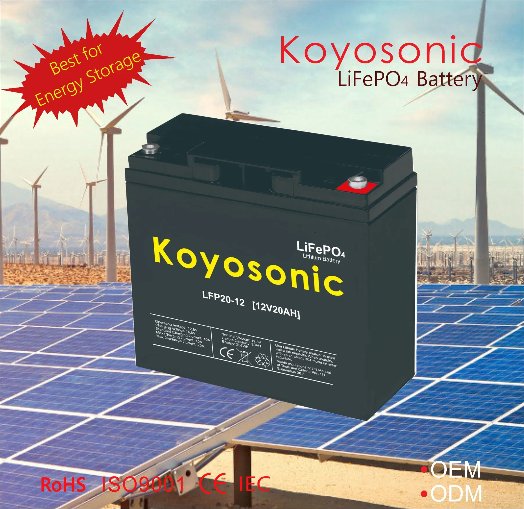 حلول بطاريات ليثيوم مخصصة بسعة عالية 24V 25.6V 120ah